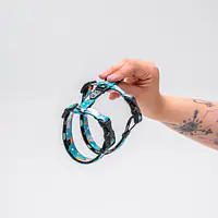 Szelki dla kota "Łot de Fok"  - Master