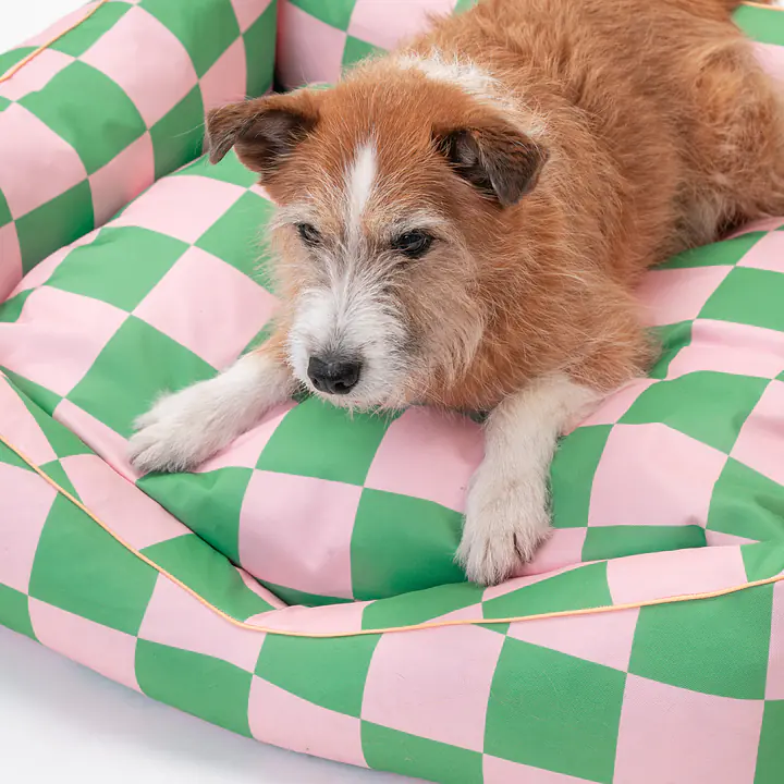 Couch "Check Mate" - Master