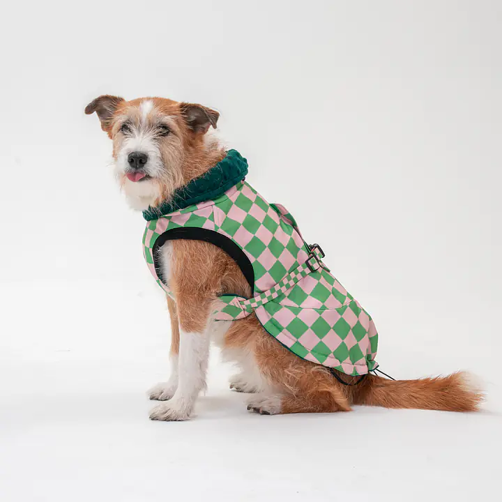 Kurtka dla psa "Świat zza krat taki kolorowy" - Master