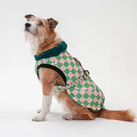 Kurtka dla psa "Świat zza krat taki kolorowy" - Master