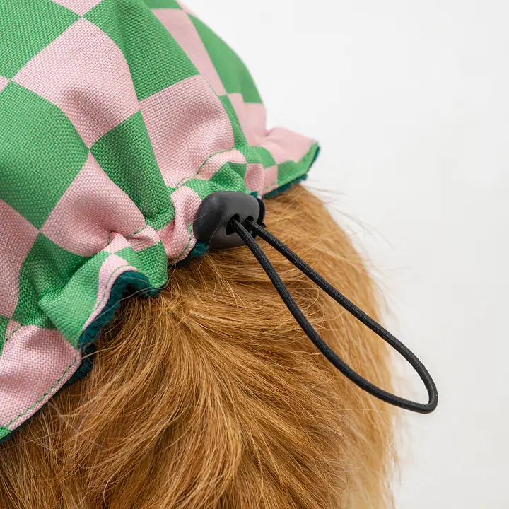 Kurtka dla psa "Świat zza krat taki kolorowy" - Master