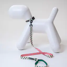 Dog or cat collar "Check Mate" - Master
