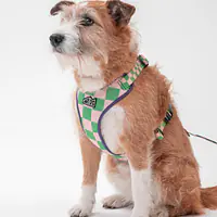 Dog or cat pressure free harness "Check Mate" - Master
