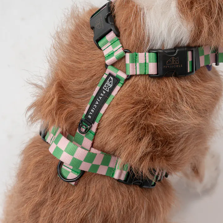 Szelki bezuciskowe Stay on "Świat zza krat taki kolorowy" - Master