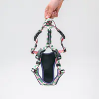 Szelki bezuciskowe Stay on "Świat zza krat taki kolorowy" - Master