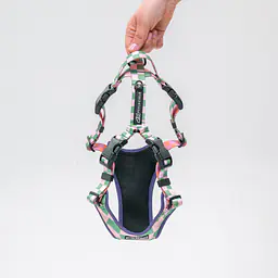 Szelki bezuciskowe Stay on "Świat zza krat taki kolorowy" - Master