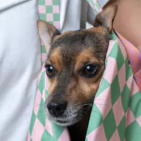 Bag 3in1 "Check Mate" - Master