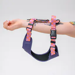 Szelki bezuciskowe dla psa lub kota "Świat zza krat taki kolorowy" FIOLET - Master