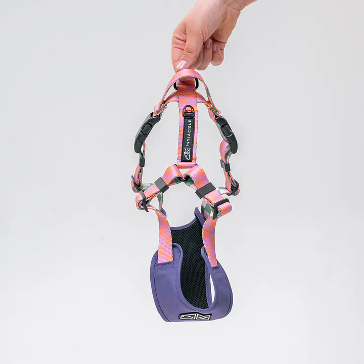 Szelki bezuciskowe dla psa lub kota "Świat zza krat taki kolorowy" FIOLET - Master