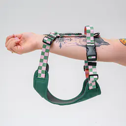 Szelki bezuciskowe dla psa lub kota "Świat zza krat taki kolorowy" ZIELEŃ - Master