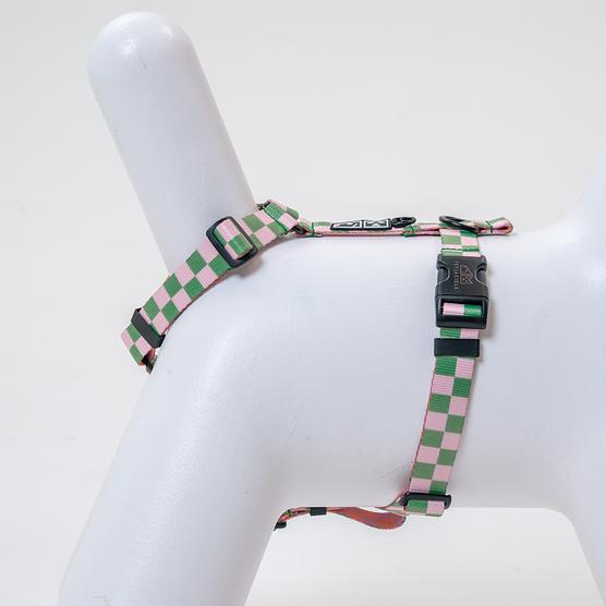 Szelki dla psa lub kota typu guard "Świat zza krat taki kolorowy"