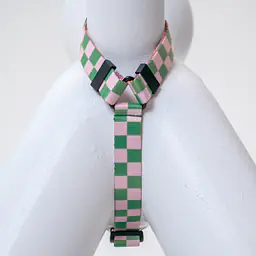 Szelki dla psa lub kota typu guard "Świat zza krat taki kolorowy" - Master