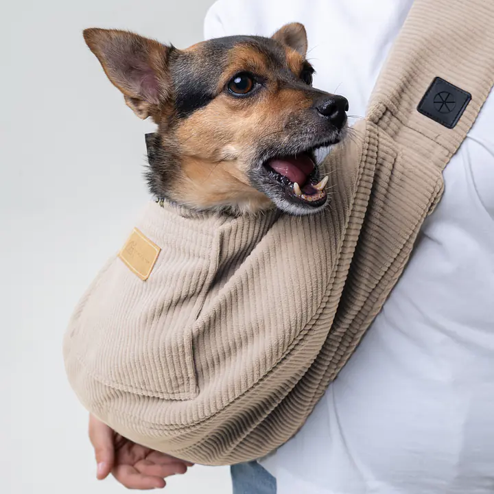 Nosidło dla psa "Pies on the beach"  - Master