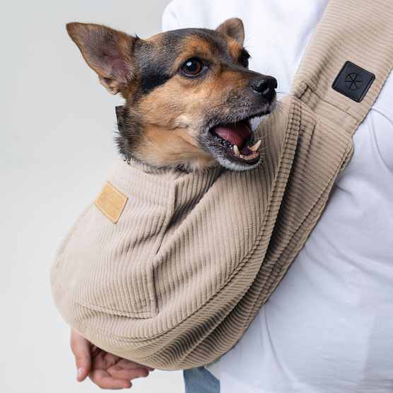 Dog carrier "Dog on the beach"