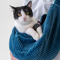 Nosidło dla psa "Scooby Blue"  - Master