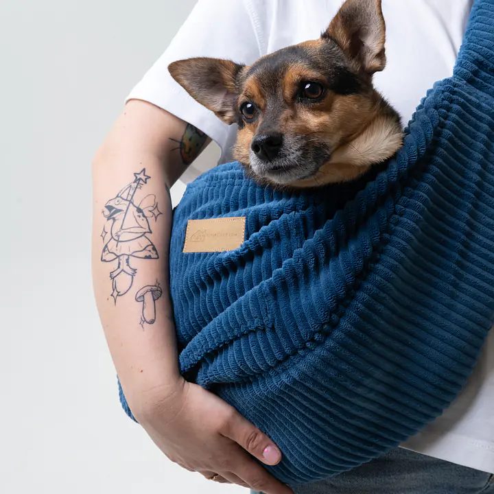 Nosidło dla psa "Scooby Blue"  - Master