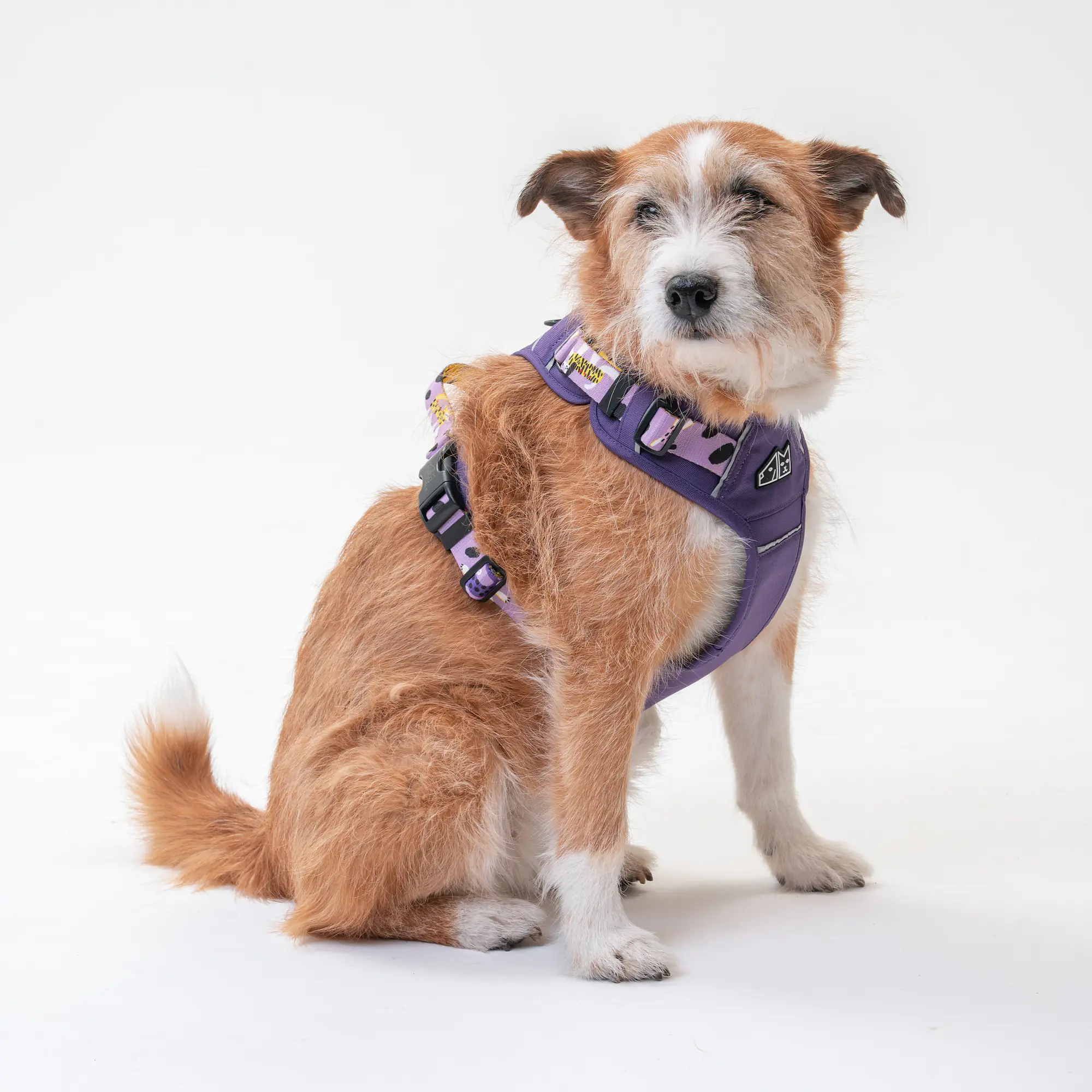 Szelki Adventure "Beach please"  - Master