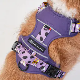 Szelki Adventure "Beach please" - Master