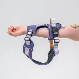 Szelki Adventure "Beach please" - Master