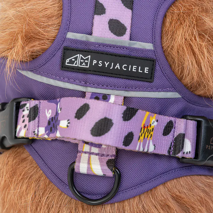 Szelki Adventure "Pieski Floreski"  - Master