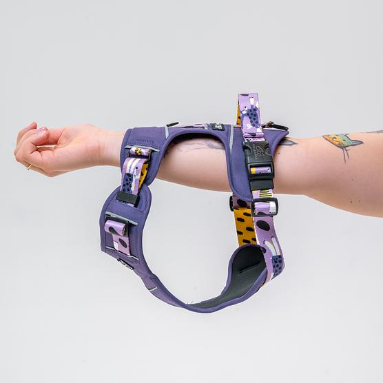 Adventure harness "Doggo in sheep's clothing"
