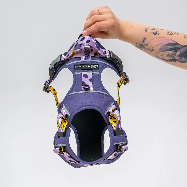 Szelki Adventure "Pieski Floreski"  - Master