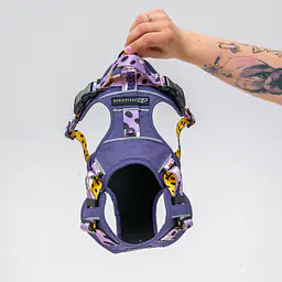 Adventure harness "Doggo in sheep's clothing" - Master