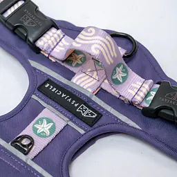 Adventure harness "Doggo in sheep's clothing" - Master