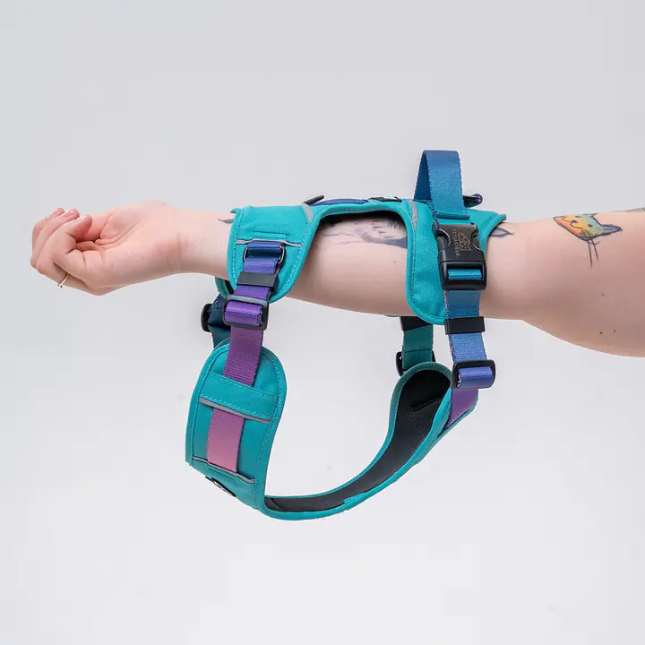 Adventure harness "Under my ombrella TURQUOISE" - Master