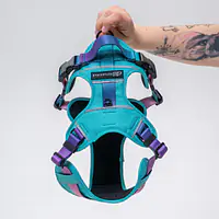 Adventure harness "Under my ombrella TURQUOISE" - Master