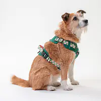 Szelki Adventure "Świat zza krat taki kolorowy FIOLET"  - Master