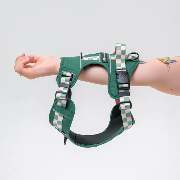 Adventure harness "Check Mate" - Master