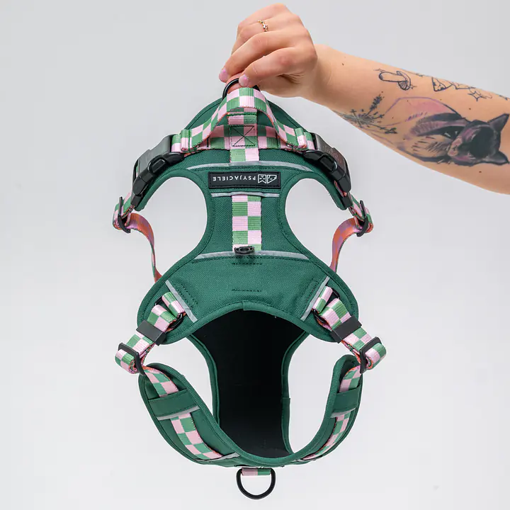 Adventure harness "Check Mate" - Master