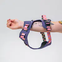 Szelki Adventure "Świat zza krat taki kolorowy FIOLET"  - Master