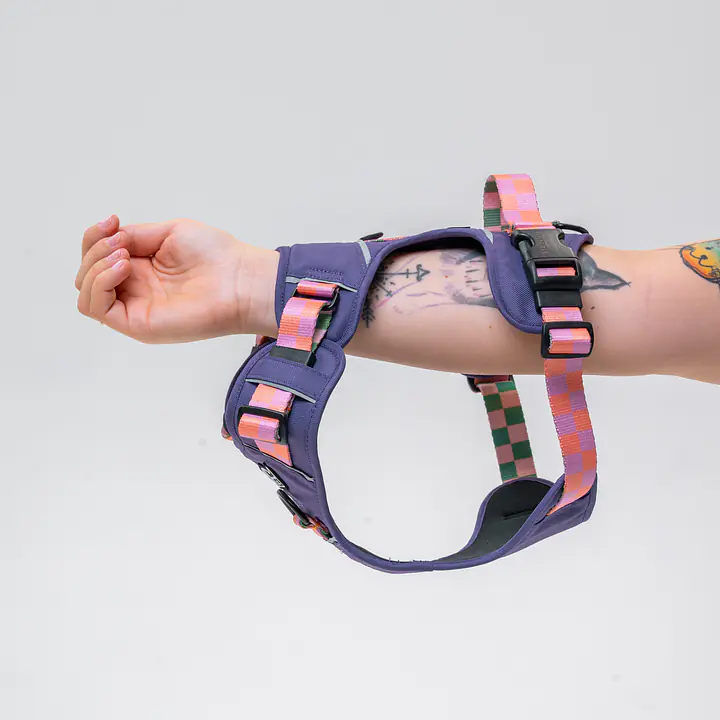 Szelki Adventure "Świat zza krat taki kolorowy FIOLET"  - Master