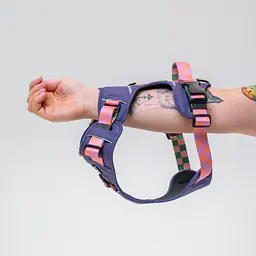 Szelki Adventure "Świat zza krat taki kolorowy FIOLET" - Master