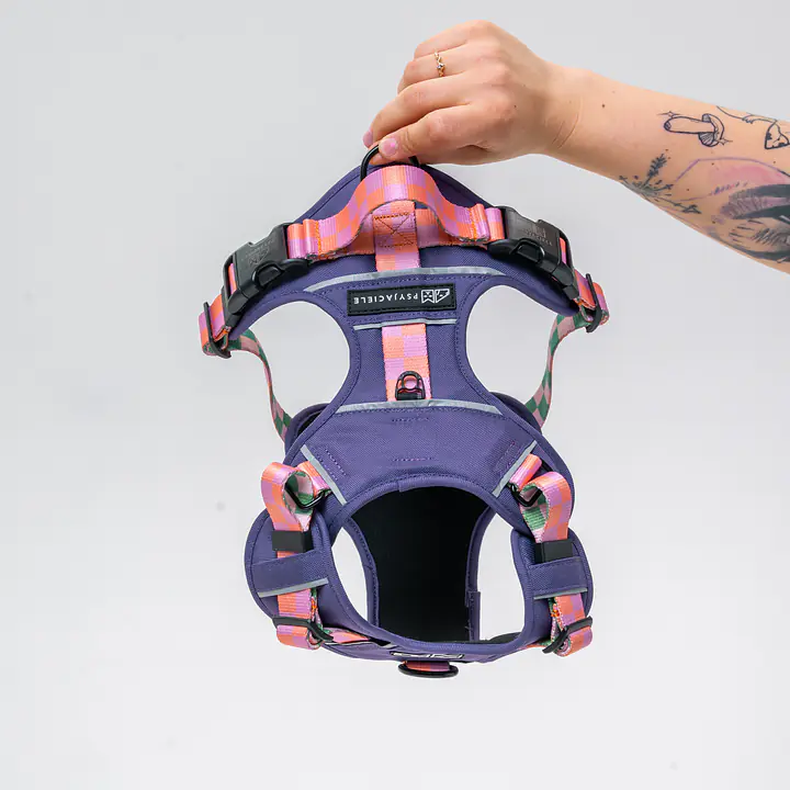 Szelki Adventure "Świat zza krat taki kolorowy FIOLET"  - Master