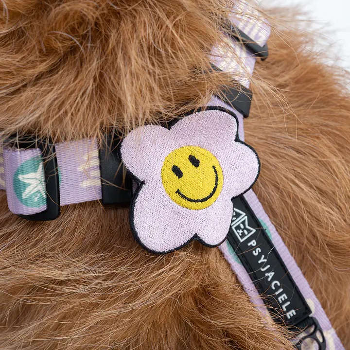 Pimp My Szelki - haftowana przypinka do szelek  - Master