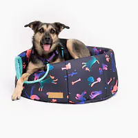 House 2 in 1 "Psychodelic" - Master