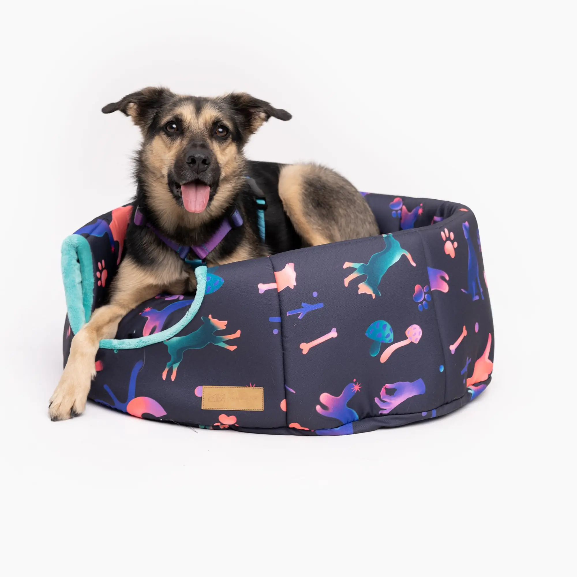 House 2 in 1 "Psychodelic" - Master