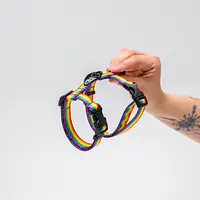 Szelki dla kota "Miłość, równość, gryzaki"  - Master