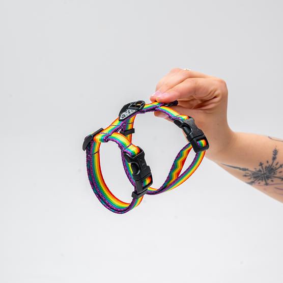 Szelki dla kota "Miłość, równość, gryzaki" 