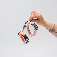 Cat harness "Oopsy Daisy" - Master