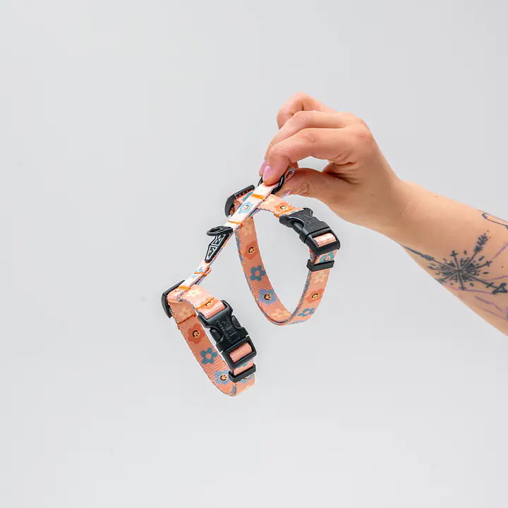 Cat harness "Oopsy Daisy" - Master