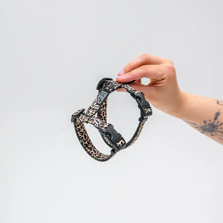 Szelki dla kota "Panterka"  - Master