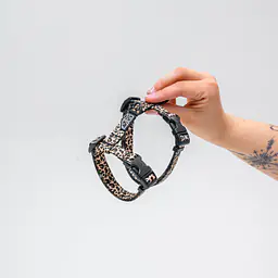 Cat harness "Leopard" - Master