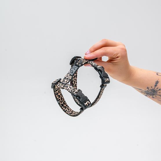 Szelki dla kota "Panterka" 