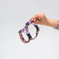 Szelki dla kota "Pieski Floreski"  - Master