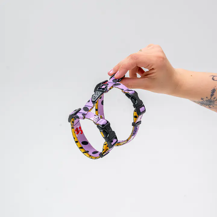 Szelki dla kota "Pieski Floreski"  - Master