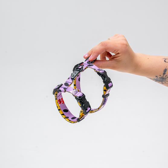 Szelki dla kota "Pieski Floreski" 